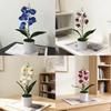 No Ip Artificial Orchid Plant With Plastic And Soft Gel For Home Decor And Photography Props