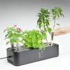 Aquaponics Starter Set with Seedling Cubes And Net Cups Hydroponic Planter Grow Baskets For Home Gardening