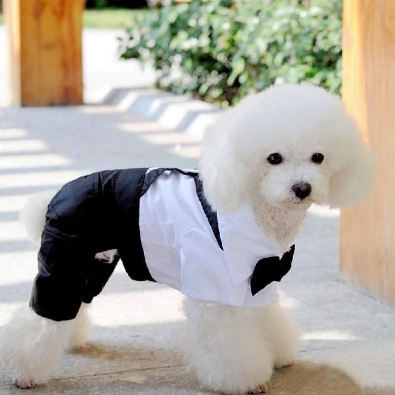 Fashion Dog Pet Puppy Clothes Tuxedo Shirt Suit Bow Tie Stylish Wedding Apparel