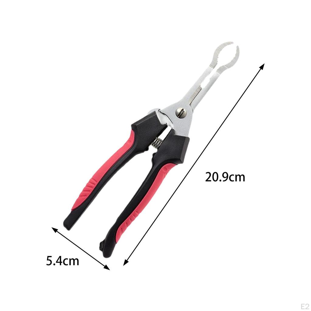 Hawthorn Plier Fruit Core Remove Convenient Multpurpose Separator, Stainless Steel for