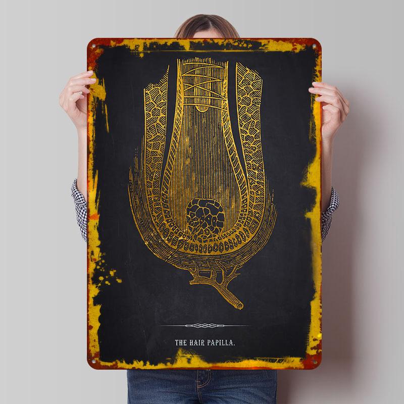 

Hair Papilla Anatomy Tin Plaque Poster Customized Wall Art Retro Vintage Metal Signs for Man Cave Decoration Bedroom Decorations 7.9x11.8In(20x30cm)