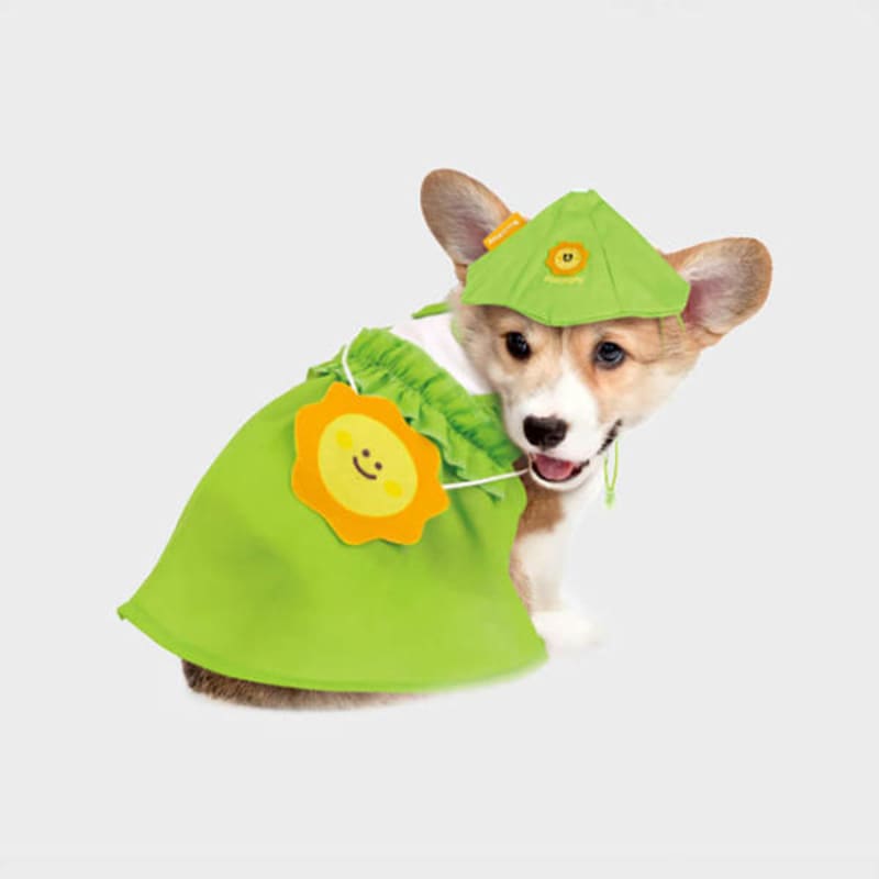

[Pet] Back One-Piece Dress (M)