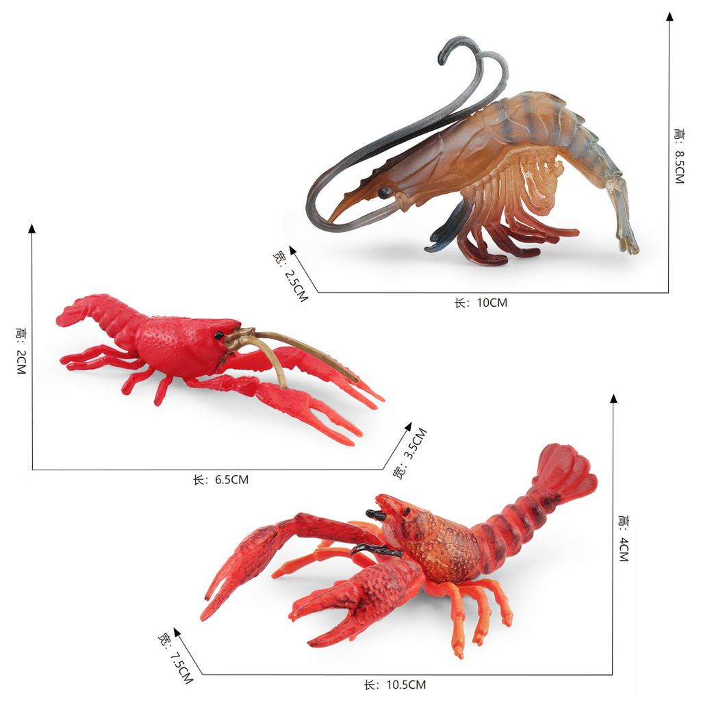 Detailed Plastic Lobster And Shrimp Models For Realistic Aquatic Themed Decor