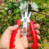 Double-Edged Stainless Steel Garden Pruning Shears for Thinning Flowers, Vegetables, and Fruit Branches