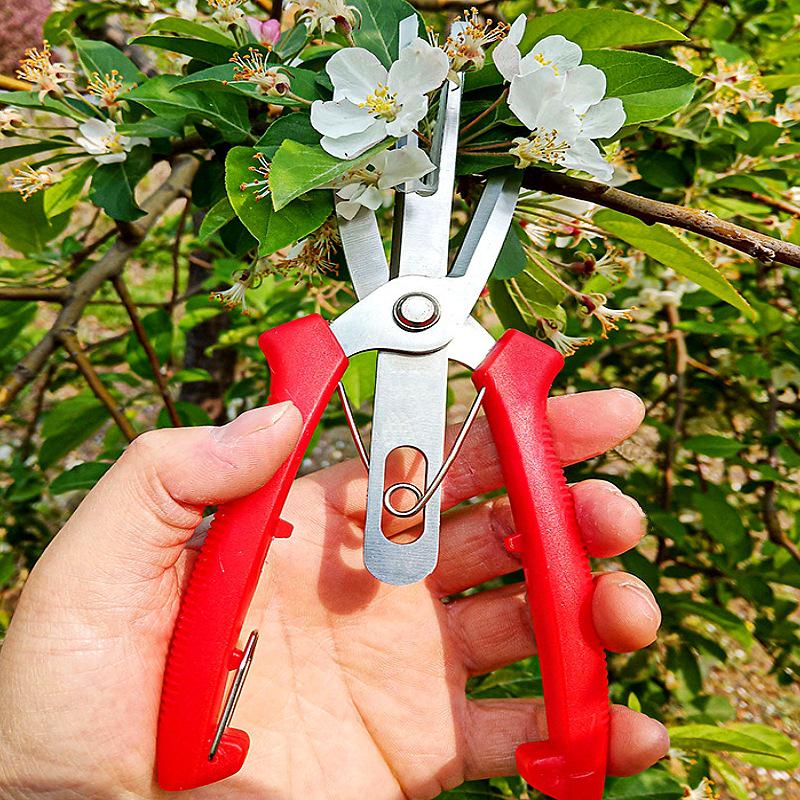 Double-Edged Stainless Steel Garden Pruning Shears for Thinning Flowers, Vegetables, and Fruit Branches