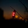 Adjustment Wind Rope Warning Light Magnetic Camping Wind Rope Lights  Camping Equipment