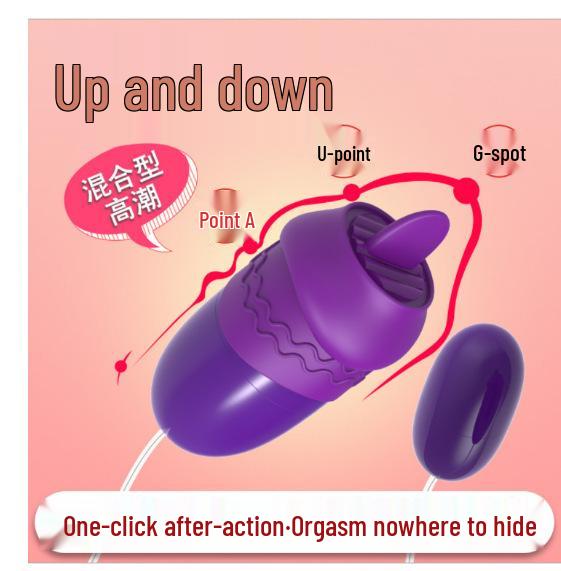 Estimulador Clitoriano Lailo Pequeña Concha Marina y Caballito de Mar - Vibrador Erótico para Adultos para Mujeres y Hombres.
