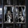 Festive Scene Layout 2Pcs Halloween Horror Window Clings, 80x120cm Spooky Ghost Skeleton Decorative Balcony Stickers Decal for Glass, Haunted