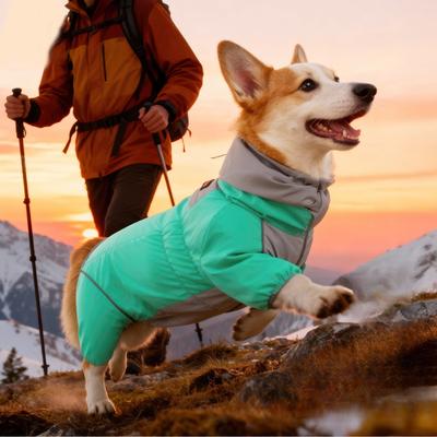 Dog Cotton Clothes Thickened Jackets Warm Winter Dog Coats Cotton-padded Clothes Windproof Puppy Hooded Jacket Pet Outfits