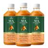 Sea Buckthorn Juice 500 ML | Buckthorn Berry Herbal Juice with Natural Vitamin C | Herbal Support for Immunity, Skin Glow & Gut Health | Omega 3