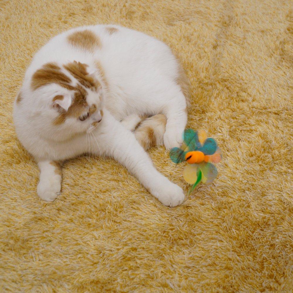 CattyMan Playful Cat Cat Favorite Toy Replacement Sparkling Clione