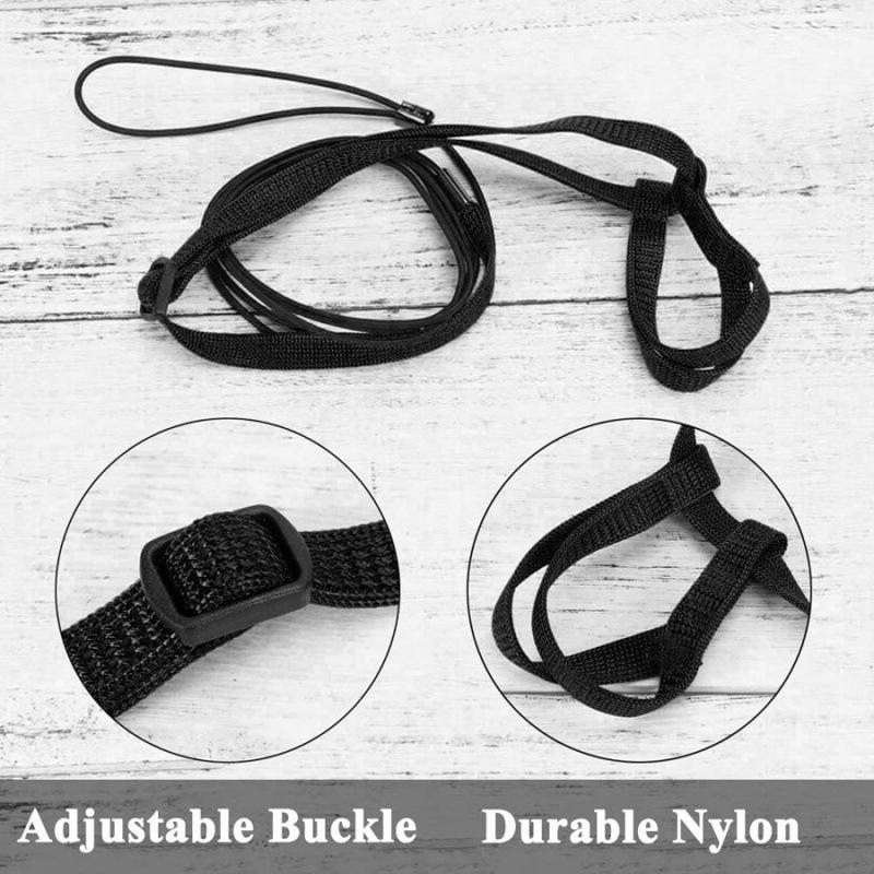 

Parrot & Cockatiel Tiger Skin Leash: Outdoor Training Harness for Macaws and Small Birds Large