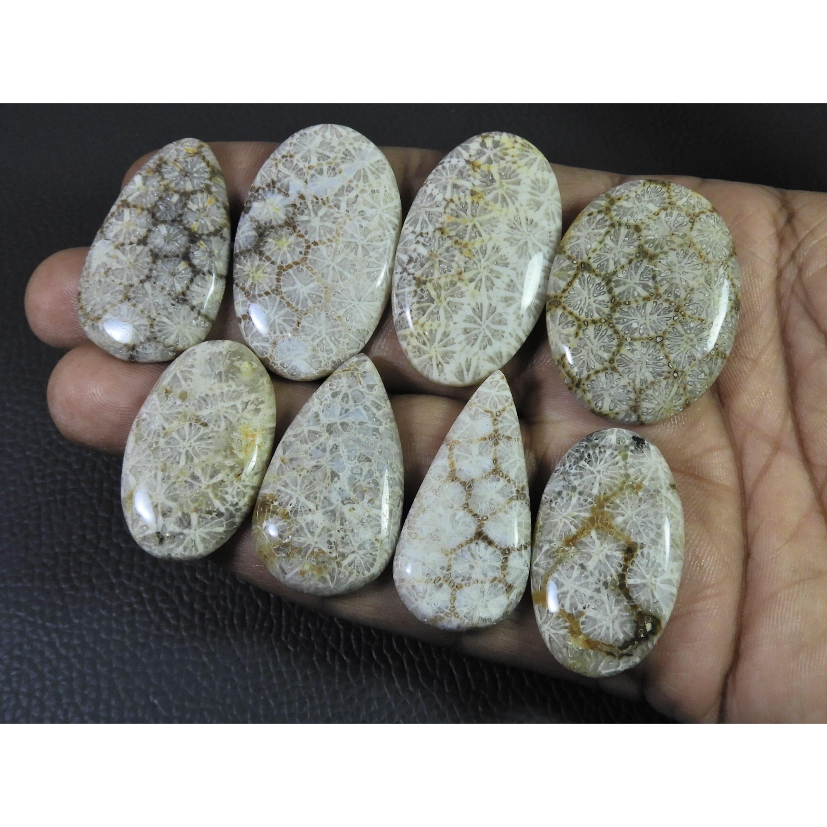 293Cts. Natural Fossil Coral Mix Cabochon Loose Gemstone 8Pcs Lot C-1894