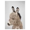 Realistic Furry Animals Cute Prints Poster Canvas Painting Hd Modern Wall Art Pictures For Living Room Bedroom Home Decoration