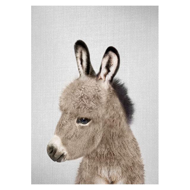 Realistic Furry Animals Cute Prints Poster Canvas Painting Hd Modern Wall Art Pictures For Living Room Bedroom Home Decoration