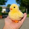 Realistic Plush Chick and Duck Toy Children Gift Cute Animal Stuffed Toy Soft Safe