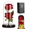 Eternal Double Rose In Glass Led Gift