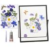 Modern Pressed Flower Frame With Metal Edges And Clear Glass Panel Tabletop Artwork Photo Frame Home Decoration