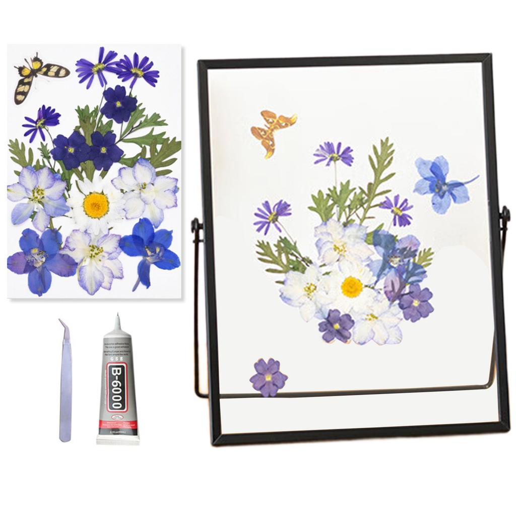 Modern Pressed Flower Frame With Metal Edges And Clear Glass Panel Tabletop Artwork Photo Frame Home Decoration