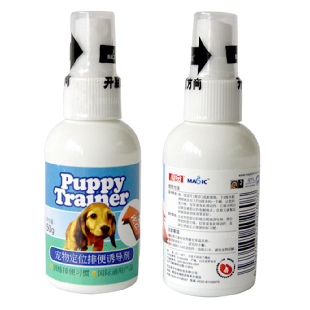 dog potty training aid