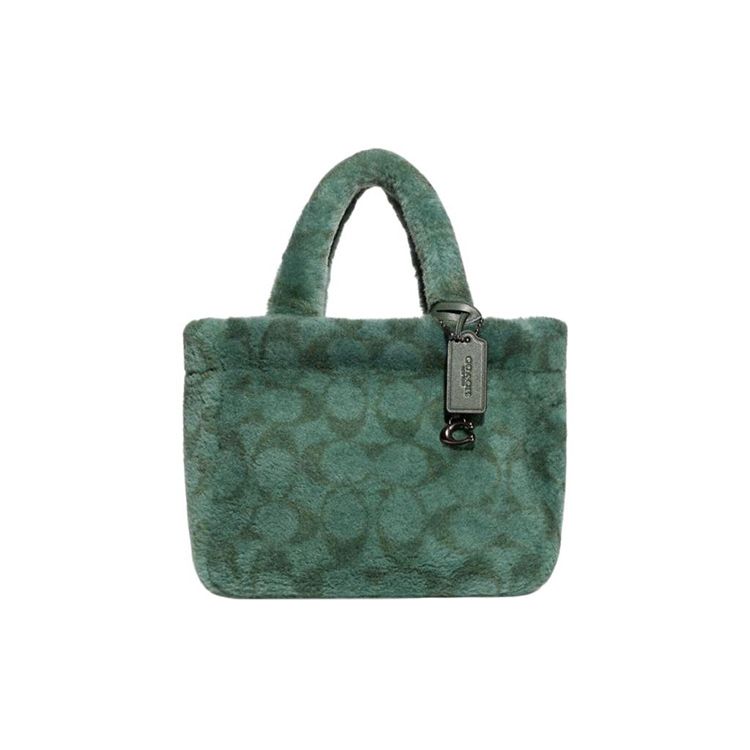 

Coach 22 Zipper Closure Classic Monogram Print Wool Leather Tote Bag Shopping Handheld Shoulder Crossbody Small Women tote Green CC441-V5GRN Basic Set (Bag+Dust Bag)
