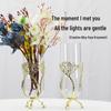 Modern Gold Metal Glass Vase for Dining Table or TV Cabinet