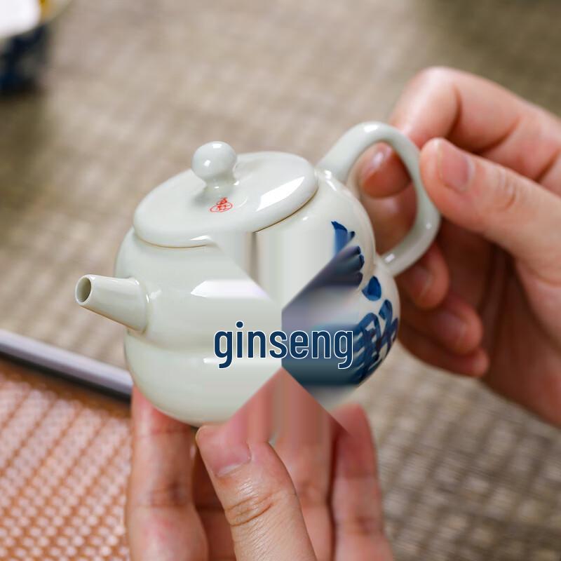 Su's Ceramic Travel Kung Fu Tea Set