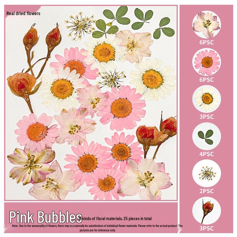 Handmade Resin Pressed Flower Bookmark DIY Kit: Transparent Specimen Stickers & Dried Flowers for Students
