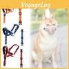 Perros – Collares y correas