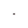 PERFECT DIARY Essence Concealing UV Cushion Foundation Ceramic Skin Glossy Skin Transparency Moisturizing Sun Protection SPF50+ PA+++ 12g (B02