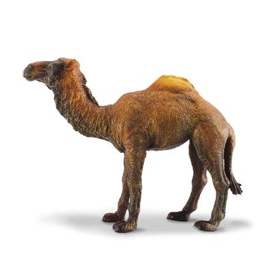CollectA Dromedary Camel Figure (Velký)