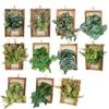 Wall Framed Artificial Plant Faux Greenery Plant in Frame Wall Decor Hanging
