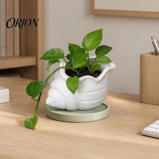 Conch Shaped Planter 3D Printed Flower Pot, Moisture-Resistant Mini with Wavy Edge And Drainage Flowerpot Drain Hole Design, Ocean Style for