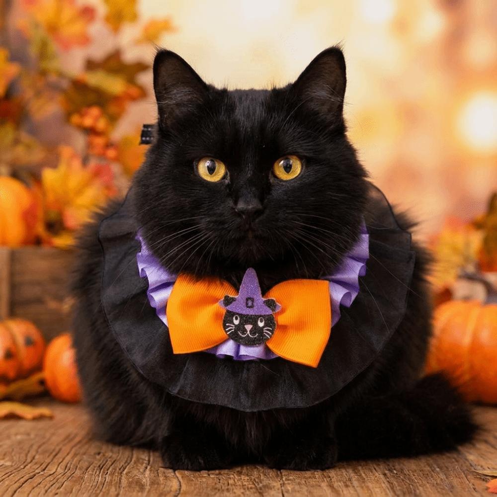 Pumpkin Printed Halloween Cat Collar Portable Halloween Dog Collar Pet Accessories