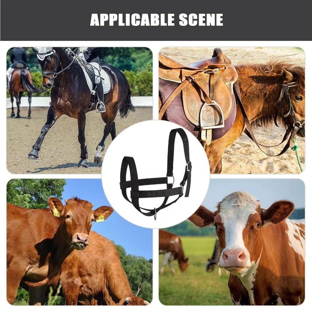 Adjustable Horse Halter Nylon Calf Training Rope Cattle Halter Training Rope Harness  Outdoor Use