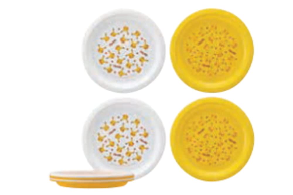 Skater Set of 21cm Made In Plates, 4, Plastic, Pikachu, Pokémon, Japan, P5P-A