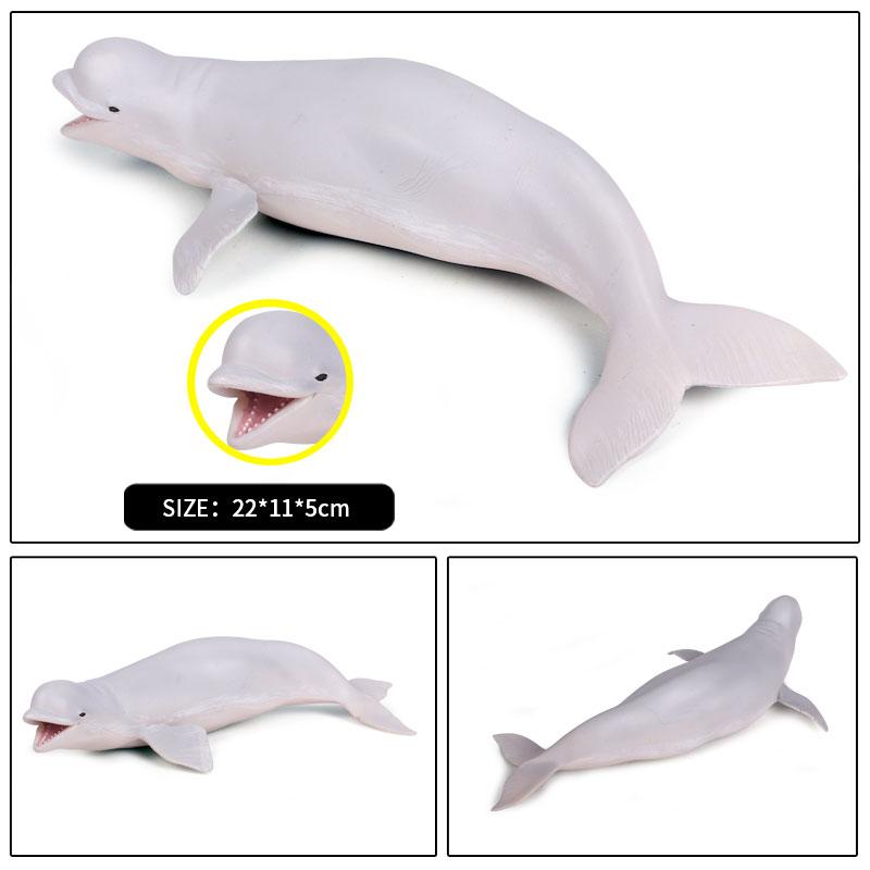 Oenux Ocean Animal Savage Megalodon Beluga Big Shark Orca Sperm Blue Whale Action Figures Sea Life Model Educational Kids Toy