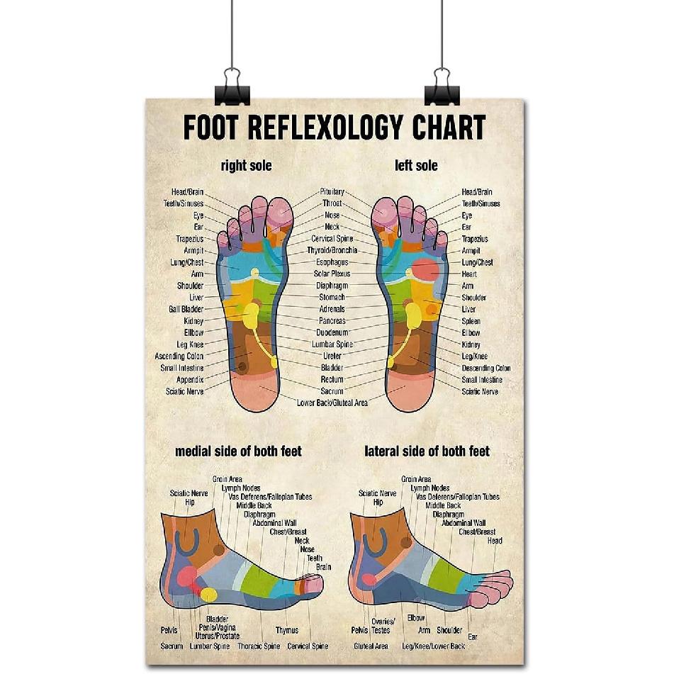 FLFGIDD Wall Art Foot Reflexology Chart Poster Massage Therapist Knowledge Home Office Decorations Decor (12x18 Inch)