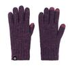 Autumn and Winter Warm Gloves for Women Outdoor Cold Protection Double Layer Thickened Solid Color Knitted Gloves for Cycling Touch Screen Yarn Gloves