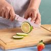 Three-color Fruit Knife Sharp Pocket Kitchen Fruit Knife Stainless Steel Knife with Non-slip Handle Paring Knife Cooking Cutter