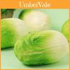 High-quality Cabbage Squeeze Toy Perfect For Relieving Stress And Enhancing Sensory Development