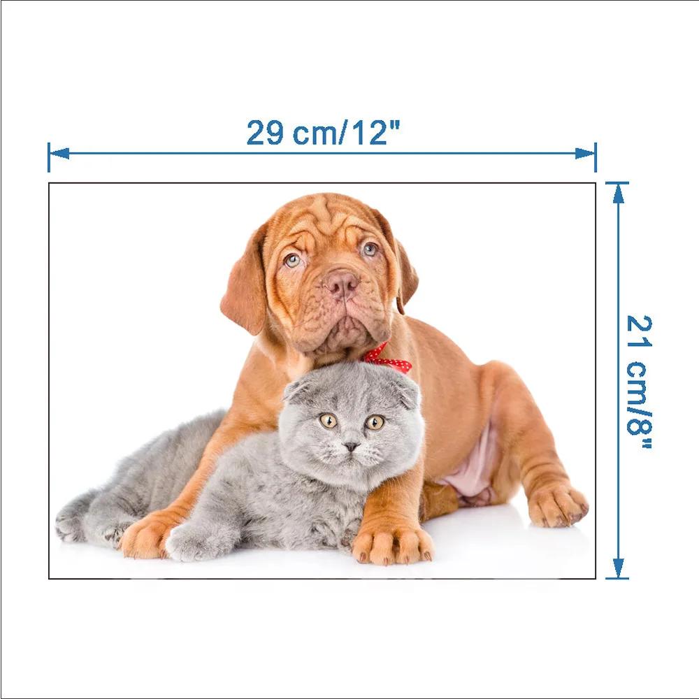 

Animal Cute Persian Cat Wall Sticker Waterproof Decal Home Decoration Kids Room Toile Children Desk