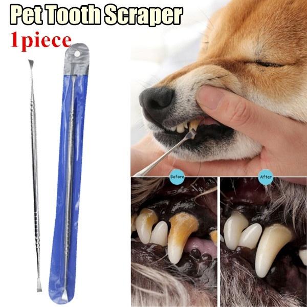 1pc Pet Teeth Cleaning Scraper Stainless Steel Double Headed Dog Tooth Scraper Pet Tartar Cleaning Tools Pet Accessories