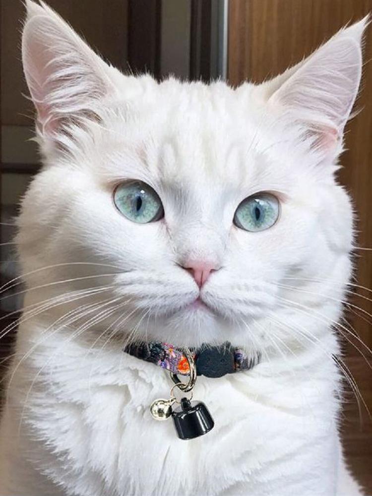 Lightweight Cat Collar with Reflective Pattern Waterproof GPS Tracker GPS Finder for Cats & Small Pets