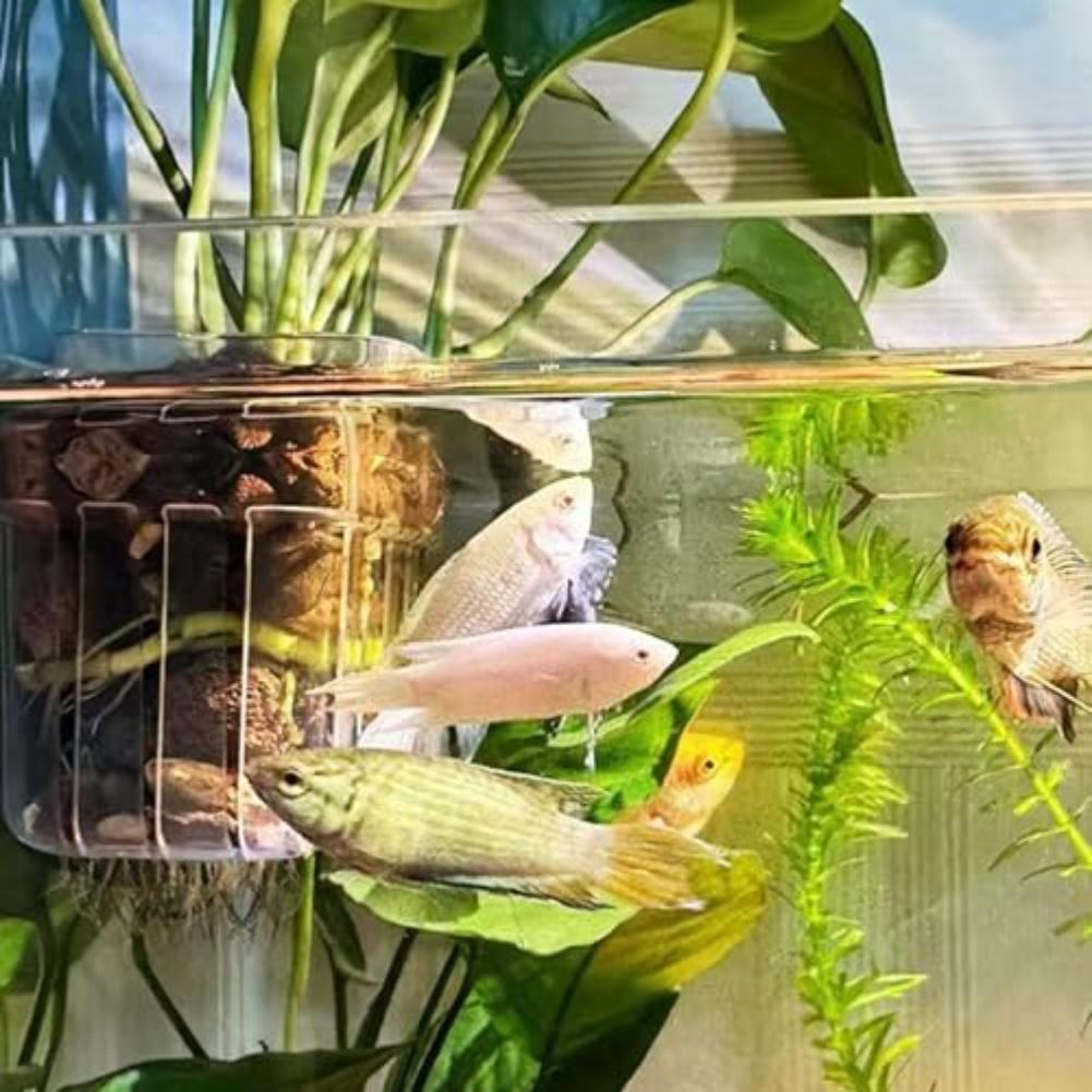 Set mit 8 transparenten Aquarienpflanzenhaltern mit Hängehaken, Kunststoff-Pflanzenkorb für Aquarium, Wasserpflanzen-Ausstellung