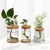Glas Blumentopf 3er-Set mit Holzdeckel-Tablett Sukkulente Grüne Radieschen Hydroponischer Behälter Geschenk Pflanzbehälter Zubehör