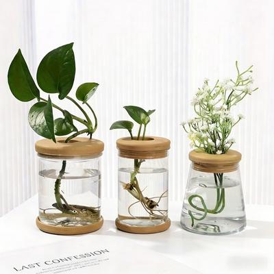 Glass Flower Pot3Set with Wooden Lid Tray Succulent Green Radish Hydroponic Container Gift Plant Container Accessories
