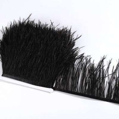 Straußenfederbesatz 8-10cm 10-15cm 10Meter Fransen Weiß für Kleidung Band Rock Plumas Feder Dekoration Hochzeitsfeier