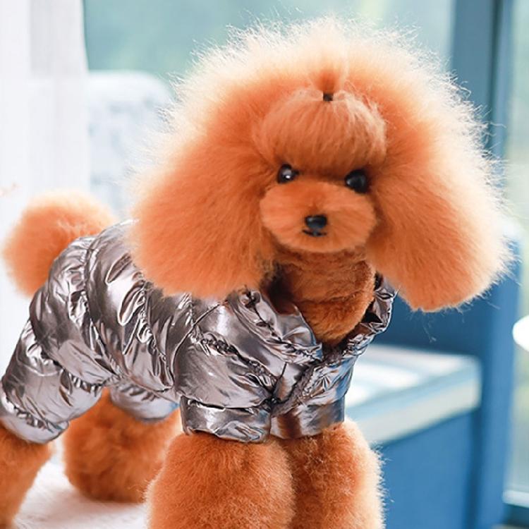 Warm Dog Clothes for Small Medium Dog Warm Cat Jackets Pet Clothing for Walking