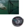 Nylon, Steel Wire Fishing Trap Net Multiple Sizes Lobster Trap Crab Trap  Saltwater Fishing